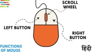 Functions of Mouse: माउस के कार्य और उपयोग